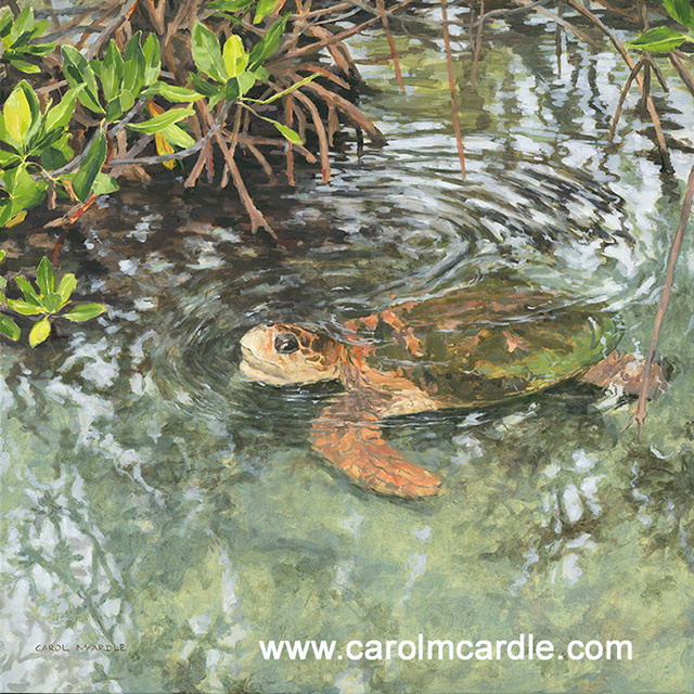 Mingle in the Mangroves